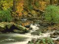 Nature_Wallpapers-015.jpg