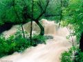 Nature_Wallpapers-016.jpg