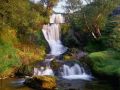 Nature_Wallpapers-017.jpg