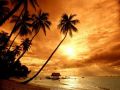 Nature_Wallpapers-021.jpg