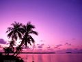 Nature_Wallpapers-022.jpg