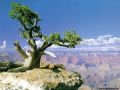 Nature_Wallpapers-026.jpg