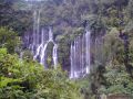 Nature_Wallpapers-028.jpg