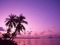 Nature_Wallpapers-034.jpg
