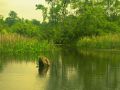 Nature_Wallpapers-042.jpg